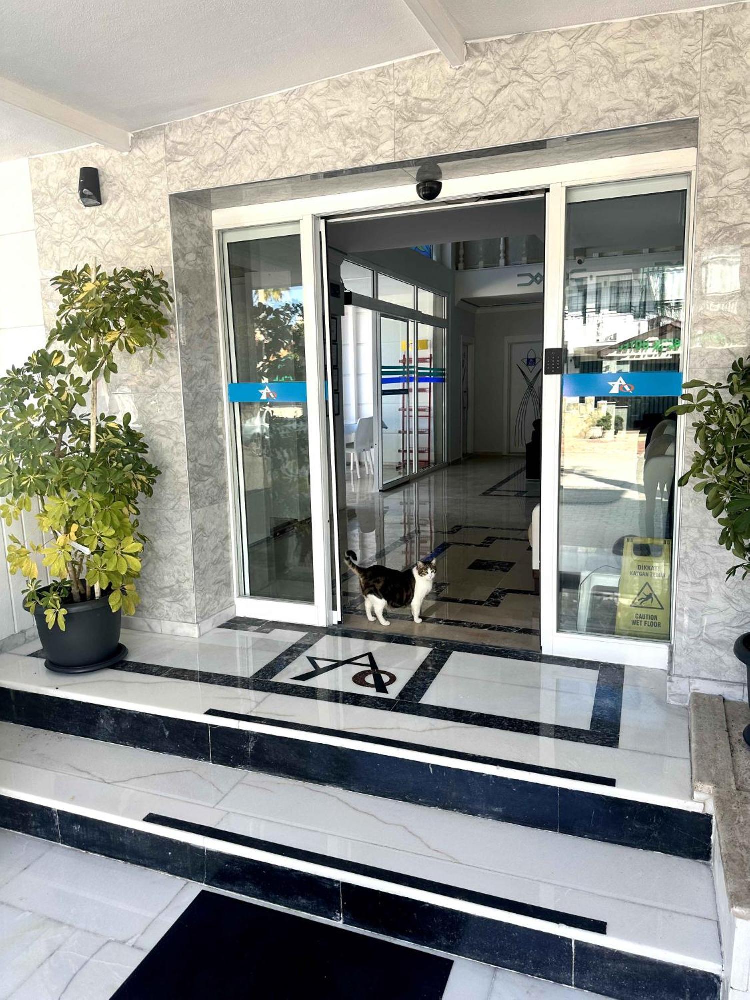 Amsterdam Otel Economic Room Kemer Bagian luar foto